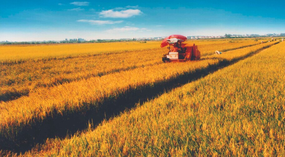 大数据要为农业现代化作贡献