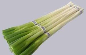 干葱山西东义村-农产品批发\/采购-一亩田农业网_专业的农产品信息商务平台