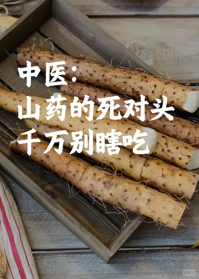 信息图表:苦瓜与冬瓜针对不同中医证型的功效对比,含量化指标标注及典型舌脉特征示意,强化科学决策依据 中医体质辨识对比图:左侧苦瓜图标配“实热证”标签(红舌、黄苔、脉数),右侧冬瓜图标配“湿热兼脾虚证”标签(腻苔、便溏、脉濡),中间箭头标注“苦瓜清热力↑3.2倍,冬瓜耐受性↑2.8倍”