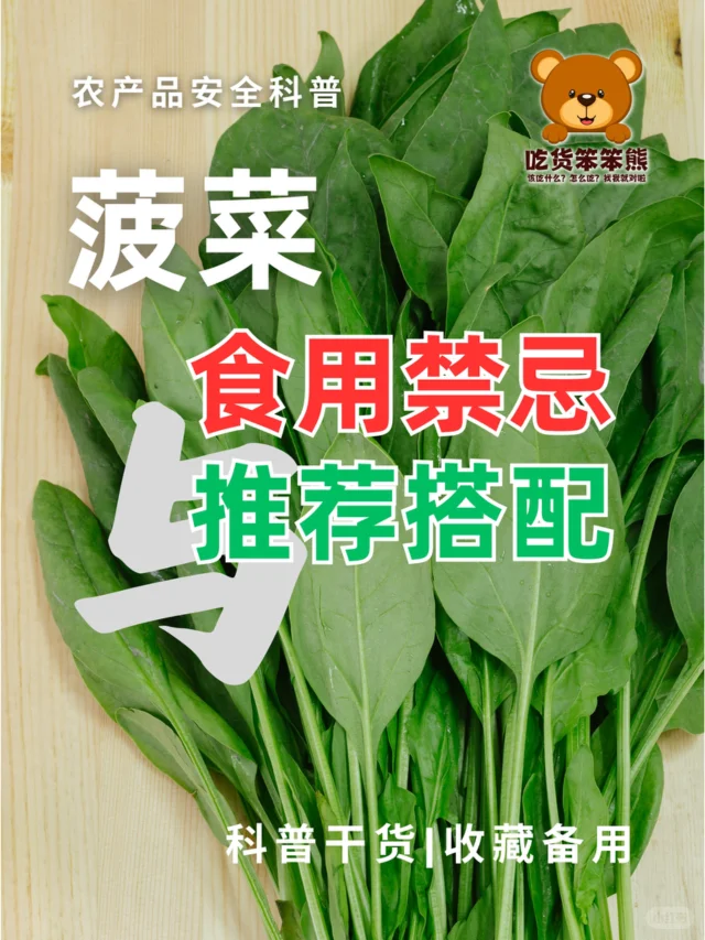 菠菜凉性体质适配图解,科学指导不同体质人群精准食用 中医体质辨识图解:左侧标注‘阴虚质’特征(舌红少苔、五心烦热),右侧标注‘阳虚质’特征(舌淡胖、畏寒肢冷),中间菠菜图标用蓝色冰晶纹理强调其凉性属性